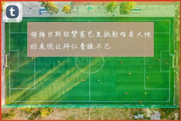 胡梅尔斯称赞塞巴里挑射难度大他的表现让拜仁青睐不已